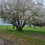 Rieplhof * Samerberg