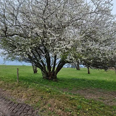 Rieplhof * Samerberg